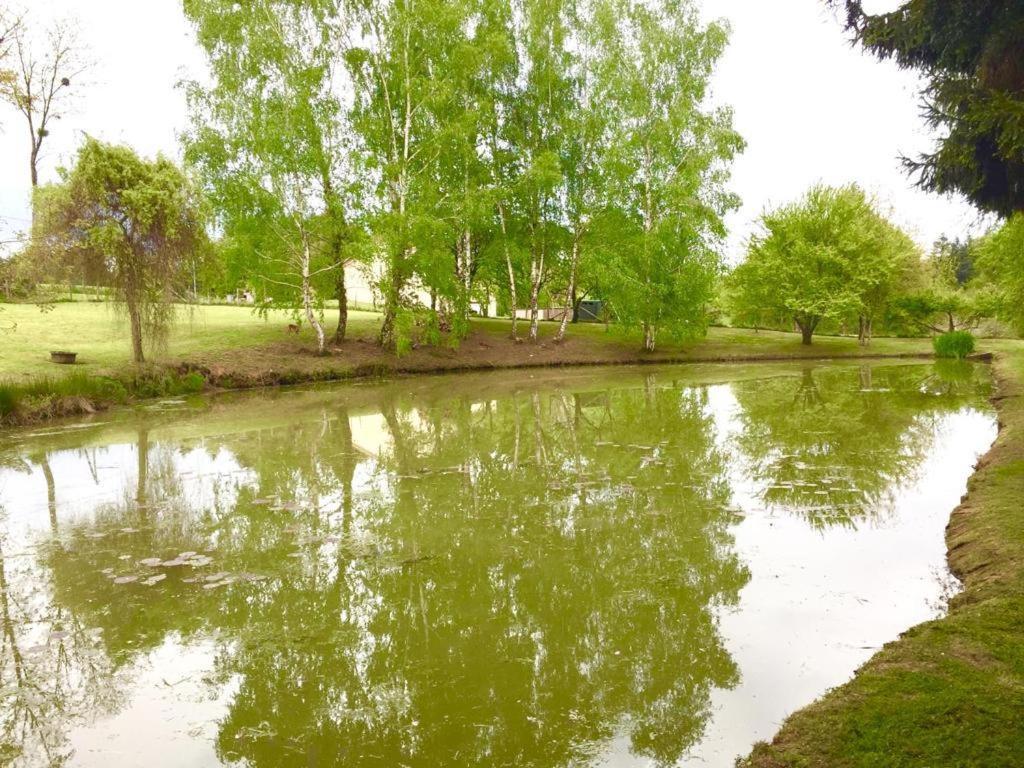 La Maison D'Hera Saint-Yrieix-la-Perche Esterno foto